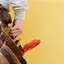 Handyman repair service in San Francisco, CA for home fixes and improvements